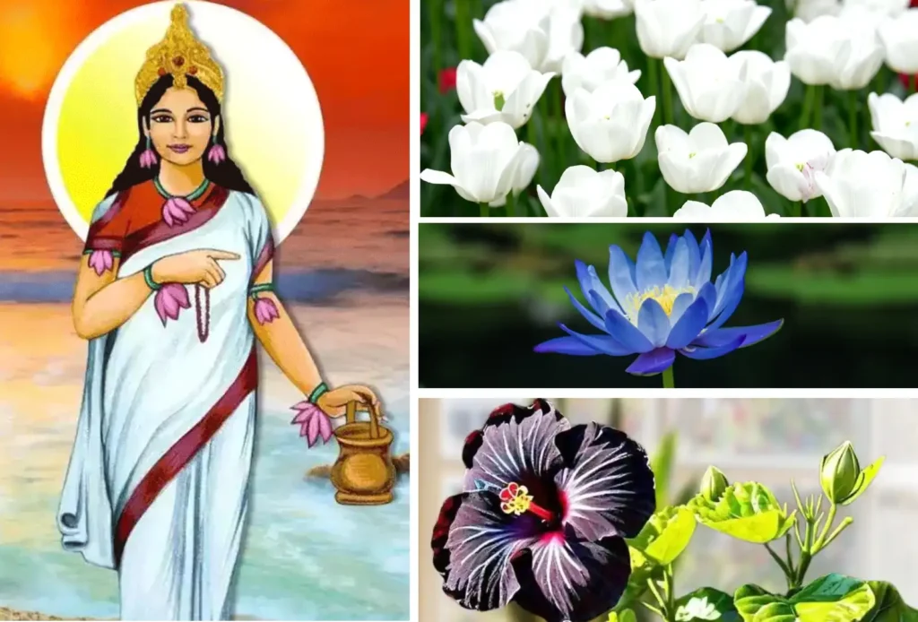 ब्रह्मचारिणी माता का स्वरूप और उनके रंगों का महत्व

सफेद रंग: शुद्धता, संयम, और आध्यात्मिक उन्नति का संदेश देता है।
नीला रंग: अनंतता, आकाशीय ऊर्जा और ब्रह्मांडीय शक्तियों का प्रतीक है।
काला रंग: जीवन के गहरे रहस्यों और अज्ञात शक्तियों का प्रतिनिधित्व करता है।