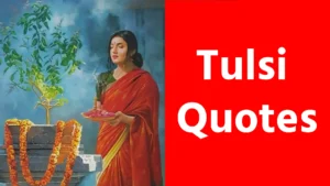 25+Tulsi Quotes