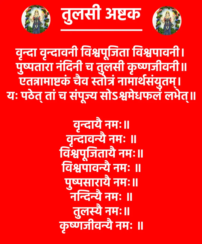 तुलसी अष्टक: तुलसी माता की स्तुति से भरपूर दिव्य अनुभव 1 Tulsi Ashtak
वृन्दा वृन्दावनी विश्वपूजिता विश्वपावनी।
पुष्पतारा नंदिनी च तुलसी कृष्णजीवनी॥
एतन्नामाष्टकं चैव स्तोत्रं नामार्थसंयुतम्।
यः पठेत् तां च संपूज्य सोऽश्वमेधफलं लभेत्॥
वृन्दायै नमः॥
वृन्दावन्यै नमः ॥
विश्वपूजितायै नमः॥
विश्वपावन्यै नमः ॥
पुष्पसारायै नमः॥
नन्दिन्यै नमः ॥
तुलस्यै नमः॥
कृष्णजीवन्यै नमः ॥8॥