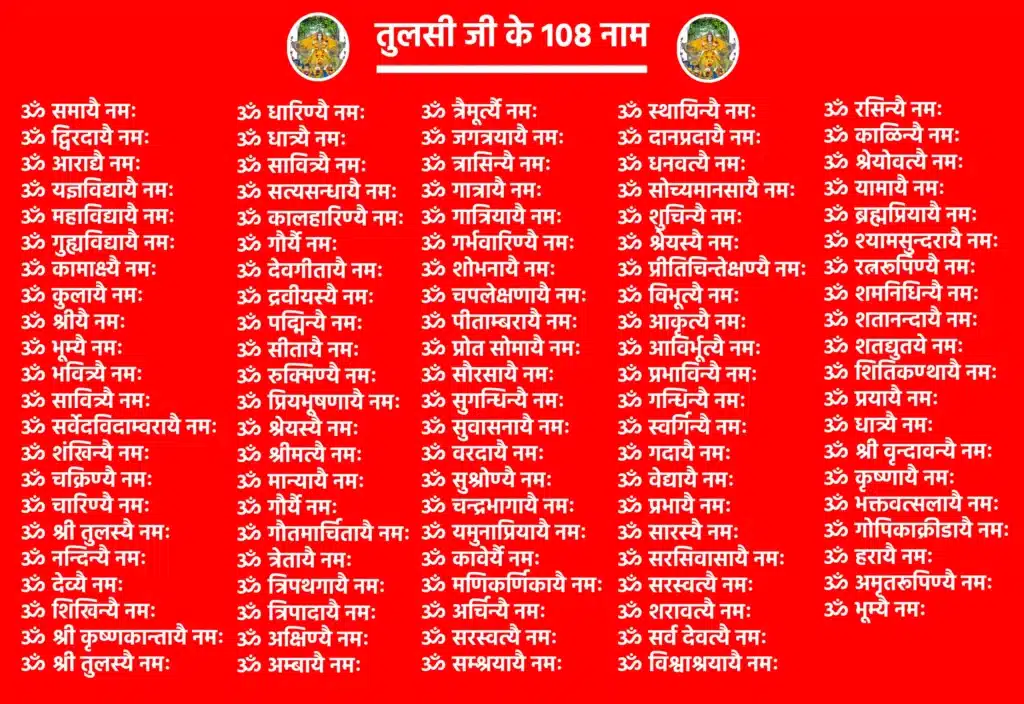 Tulsi Ji Ke 108 Naam

ॐ समायै नमः – 'समा' का अर्थ है शांत और संतुलित। यह नाम मानसिक शांति और स्थिरता प्रदान करता है।

ॐ द्विरदायै नमः – 'द्विरद' यानी हाथी, जो बल और धैर्य का प्रतीक है। यह नाम शक्ति और धैर्य को दर्शाता है।

ॐ आराद्यै नमः – जिसका अर्थ है पूजनीय। तुलसी माता को आराधना के योग्य माना गया है।

ॐ यज्ञविद्यायै नमः – यज्ञ की विद्या की अधिष्ठात्री। तुलसी को यज्ञों में आवश्यक माना गया है।

ॐ महाविद्यायै नमः – श्रेष्ठ ज्ञान की देवी, जो आध्यात्मिक मार्गदर्शन देती हैं।

ॐ गुह्यविद्यायै नमः – रहस्यमयी और गुप्त ज्ञान की देवी, ध्यान और साधना में सहायक।

ॐ कामाक्ष्यै नमः – कामना को पूर्ण करने वाली। भक्त की शुभ इच्छाओं की पूर्ति करने वाली शक्ति।

ॐ कुलायै नमः – परिवार वंश की रक्षक और पालनकर्ता।

ॐ श्रीयै नमः – श्री यानी लक्ष्मी स्वरूपा, जो धन, सौभाग्य और वैभव प्रदान करती हैं।

ॐ भूम्यै नमः – धरती माता के रूप में, जो स्थिरता और सहनशीलता की प्रतीक हैं।

ॐ भवित्र्यै नमः – पवित्रता का प्रतीक, जो जीवन को शुद्ध बनाती है।

ॐ सावित्र्यै नमः – सूर्य की ऊर्जा से जुड़ी देवी, जो चेतना और जागरूकता देती हैं।

ॐ सर्वेदविदाम्वरायै नमः – सभी विद्याओं में श्रेष्ठ, जो सम्पूर्ण ज्ञान का स्रोत हैं।

ॐ शंखिन्यै नमः – शंख धारण करने वाली, जो शक्ति और विजय का प्रतीक है।

ॐ चक्रिण्यै नमः – चक्र धारण करने वाली, जो रक्षा और संहार दोनों की क्षमता रखती हैं।

ॐ चारिण्यै नमः – जो सदा चलायमान हैं, भक्तों के जीवन में गतिशीलता लाती हैं।

ॐ श्री तुलस्यै नमः – स्वयं तुलसी माता, जो श्रद्धा और भक्ति का साकार रूप हैं।

ॐ नन्दिन्यै नमः – आनंद देने वाली देवी, जो जीवन में प्रसन्नता भरती हैं।

ॐ देव्यै नमः – देवी स्वरूप, जो संपूर्ण सृष्टि की जननी हैं।

ॐ शिखिन्यै नमः – तेजस्विता और दीप्ति की प्रतीक।

ॐ धारिण्यै नमः – जो संपूर्ण सृष्टि को धारण करती हैं। धरती और जीवन की संरक्षक

ॐ धात्र्यै नमः – पालन करने वाली देवी। सभी जीवों की रक्षा और पोषण करने वाली।

ॐ सावित्र्यै नमः – दिव्यता और ऊर्जा का प्रतीक। सूर्य देवता की शक्ति से जुड़ी।

ॐ सत्यसन्धायै नमः – जो सत्य के प्रति दृढ़ संकल्पित हैं। 

ॐ कालहारिण्यै नमः – समय और मृत्यु के भय को दूर करने वाली शक्ति।

ॐ गौर्यै नमः – उज्ज्वलता, पवित्रता और सौंदर्य की देवी।

ॐ देवगीतायै नमः – जिन्हें देवताओं ने स्तुति में गाया है। 

ॐ द्रवीयस्यै नमः – जो कोमल, भावुक और दयालु हैं। 

ॐ पद्मिन्यै नमः – कमल की तरह सुंदर और शांत। 

ॐ सीतायै नमः – माता सीता के समान त्याग और पवित्रता की प्रतीक।

ॐ रुक्मिण्यै नमः – रुक्मिणी जी के समान भक्ति और प्रेम की देवी।

ॐ प्रियभूषणायै नमः – जिनका आभूषण भक्ति और प्रेम है। 

ॐ श्रेयस्यै नमः – जो श्रेष्ठतम फल प्रदान करती हैं। 

ॐ श्रीमत्यै नमः – वैभव और सौंदर्य की मूर्ति।

ॐ मान्यायै नमः – पूजनीय और आदरणीय। 

ॐ गौर्यै नमः – फिर से उल्लेख – उज्ज्वलता, दिव्यता का प्रतीक 

ॐ गौतमार्चितायै नमः – जिन्हें गौतम ऋषि ने पूजित किया है। 

ॐ त्रेतायै नमः – त्रेता युग में पूजित देवी। 

ॐ त्रिपथगायै नमः – तीन पवित्र नदियों (गंगा, यमुना, सरस्वती) जैसी पवित्र और प्रवाहमयी।

ॐ त्रिपादायै नमः – तीन पगों में समाई हुई – ब्रह्मा, विष्णु और महेश की शक्ति।

ॐ त्रैमूर्त्यै नमः – तीनों देवों (त्रिदेव) की एकाकार शक्ति। 

ॐ जगत्रयायै नमः – तीनों लोकों (भू, भुवः, स्वः) की अधिपति। 

ॐ त्रासिन्यै नमः – जो संकटों को दूर करती हैं, भय मिटाती हैं। 

ॐ गात्रायै नमः – जिनका शरीर पवित्र और दिव्य है।

ॐ गात्रियायै नमः – जो शरीर को स्वस्थ, ऊर्जावान बनाती हैं।

ॐ गर्भवारिण्यै नमः – गर्भ की रक्षा करने वाली देवी। 

ॐ शोभनायै नमः – सुंदरता और तेज से भरपूर।

ॐ चपलेक्षणायै नमः – जिनकी आंखें आकर्षक और चंचल हैं।

ॐ पीताम्बरायै नमः – पीले वस्त्र धारण करने वाली, श्रीहरि विष्णु से जुड़ी।

ॐ प्रोत सोमायै नमः – सोमरस जैसी शीतलता और आनंद देने वाली।

ॐ सौरसायै नमः – सौराष्ट्र भूमि से संबंधित या उससे पूजित।

ॐ सुगन्धिन्यै नमः – सकारात्मक ऊर्जा फैलाने वाली।

ॐ सुवासनायै नमः – सुंदर और शुभ वासना (कामना) वाली।

ॐ वरदायै नमः – वर देने वाली, इच्छाएं पूरी करने वाली।

ॐ सुश्रोण्यै नमः – जिनके जंघा (जांघ) सुंदर और सुडौल हैं, स्त्री सौंदर्य की प्रतीक।

ॐ चन्द्रभागायै नमः – चंद्रभागा नदी जैसी शुद्ध और जीवनदायिनी।

ॐ यमुनाप्रियायै नमः – यमुना नदी से प्रेम करने वाली, या उससे जुड़ी हुई।

ॐ कावेर्यै नमः – पवित्र कावेरी नदी के समान पावन।

ॐ मणिकर्णिकायै नमः – मणिकर्णिका तीर्थ की ऊर्जा से युक्त।

ॐ अर्चिन्यै नमः – पूजन योग्य, जिनकी पूजा से पुण्य प्राप्त होता है।

ॐ स्थायिन्यै नमः – जो स्थायी हैं, जीवन में स्थिरता लाती हैं।

ॐ दानप्रदायै नमः – दान देने वाली, उदारता की देवी।

ॐ धनवत्यै नमः – जो धन, समृद्धि और वैभव प्रदान करती हैं।

ॐ सोच्यमानसायै नमः – जिनके मन में शुद्ध विचार होते हैं।

ॐ शुचिन्यै नमः – जो शुद्ध हैं, पवित्रता की प्रतिमूर्ति।

ॐ श्रेयस्यै नमः – कल्याणकारी, उत्तम फल देने वाली।

ॐ प्रीतिचिन्तेक्षण्यै नमः – जिनका चिंतन प्रेमपूर्वक किया जाता है।

ॐ विभूत्यै नमः – जो अलौकिक शक्तियों से युक्त हैं।

ॐ आकृत्यै नमः – सुंदर आकृति वाली, दृष्टि को मोहित करने वाली।

ॐ आविर्भूत्यै नमः – जो प्रकट हुईं, अवतरित देवी के रूप में जानी जाती हैं।

ॐ प्रभाविन्यै नमः – जिनका प्रभाव बहुत गहरा है, शक्तिशाली हैं।

ॐ गन्धिन्यै नमः – जो दिव्य और सुगंधित हैं, वातावरण को शुद्ध करती हैं।

ॐ स्वर्गिन्यै नमः – स्वर्ग को प्राप्त करने वाली या स्वर्गीय गुणों वाली।

ॐ गदायै नमः – शक्ति देने वाली, रक्षक स्वरूपा।

ॐ वेद्यायै नमः – जिन्हें वेदों द्वारा जाना और पूजा जाता है।

ॐ प्रभायै नमः – जो तेजस्वी और प्रकाश से युक्त हैं।

ॐ सारस्यै नमः – जिनका स्वरूप सरस (भावमय और मधुर) है।

ॐ सरसिवासायै नमः – जो कमल में निवास करती हैं, श्रीहरि से जुड़ी।

ॐ सरस्वत्यै नमः – ज्ञान और वाणी की अधिष्ठात्री देवी, सरस्वती स्वरूपा।

ॐ शरावत्यै नमः – जो दिव्य धारा की तरह बहती हैं।

ॐ रसिन्यै नमः – जिनमें भक्ति रस भरा है।

ॐ काळिन्यै नमः – काल को भी नियंत्रित करने वाली शक्तिशाली देवी।

ॐ श्रेयोवत्यै नमः – कल्याण करने वाली, जो शुभता लाती हैं।

ॐ यामायै नमः – यमराज से रक्षा करने वाली।

ॐ ब्रह्मप्रियायै नमः – जिन्हें ब्रह्मा जी प्रिय मानते हैं।

ॐ श्यामसुन्दरायै नमः – श्रीकृष्ण की प्रिय, श्याम सुंदर के साथ अटूट संबंध।

ॐ रत्नरूपिण्यै नमः – जो रत्न के समान अनमोल हैं।

ॐ शमनिधिन्यै नमः – जो दुःखों का शमन (निवारण) करती हैं।

ॐ शतानन्दायै नमः – सैकड़ों आनंद देने वाली, सुखदायिनी।

ॐ शतद्युतये नमः – जो सैकड़ों सूर्य जैसे तेज वाली हैं।

ॐ शितिकण्ठायै नमः – शिव प्रिय, शिव से जुड़ी देवी।

ॐ प्रयायै नमः – प्रयाग तीर्थ के समान पुण्यदायिनी।

ॐ धात्र्यै नमः – पालन करने वाली, सृष्टि की धारिणी।

ॐ श्री वृन्दावन्यै नमः – वृंदावन की अधिष्ठात्री देवी।

ॐ कृष्णायै नमः – श्रीकृष्ण स्वरूपा या उनके अंश रूप।

ॐ भक्तवत्सलायै नमः – जो भक्तों को अत्यंत प्रिय हैं।

ॐ गोपिकाक्रीडायै नमः – गोपियों के संग श्रीकृष्ण की लीला में सहभागी।

ॐ हरायै नमः – श्रीहरि की प्रिय एवं उनसे अभिन्न।

ॐ अमृतरूपिण्यै नमः – जिनका स्वरूप अमृत तुल्य है।

ॐ भूम्यै नमः – पृथ्वी की प्रतीक, स्थिरता और जीवनदायिनी।

ॐ श्री कृष्णकान्तायै नमः – श्रीकृष्ण की पत्नी या प्रिय स्वरूप।

ॐ श्री तुलस्यै नमः – स्वयं श्री तुलसी माता को नमन।

ॐ अक्षिण्यै नमः – जो अविनाशी हैं, शाश्वत हैं।

ॐ अम्बायै नमः – माता स्वरूपा, मातृत्व भाव से पूर्ण।

ॐ सरस्वत्यै नमः – पुनः ज्ञान स्वरूपा, वाणी की देवी।

ॐ सम्श्रयायै नमः – जो शरण देने वाली हैं, सुरक्षा प्रदान करती हैं।

ॐ सर्व देवत्यै नमः – सभी देवताओं की प्रिय या स्वरूप हैं।

ॐ विश्वाश्रयायै नमः – संपूर्ण जगत की शरणस्थली, जिन पर संसार आश्रित है।