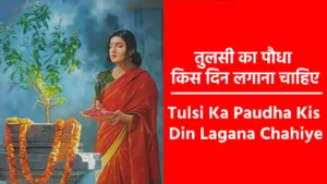 Tulsi Ka Paudha Kis Din Lagana Chahiye