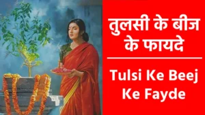 Tulsi Ke Beej Ke Fayde
