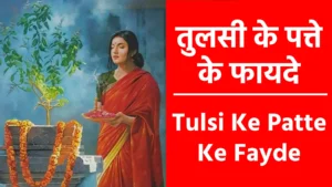 Tulsi Ke Patte Ke Fayde