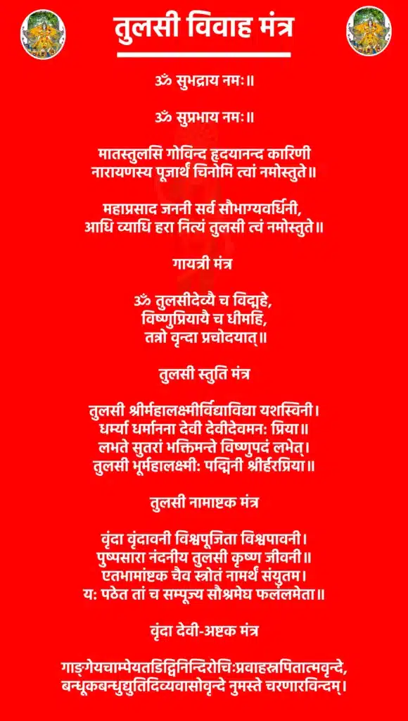 तुलसी विवाह मंत्र: कैसे करें जाप और क्या है विधि 1 Tulsi Vivah Mantraॐ सुभद्राय नमः॥ॐ सुप्रभाय नमः॥मातस्तुलसि गोविन्द हृदयानन्द कारिणी
नारायणस्य पूजार्थं चिनोमि त्वां नमोस्तुते॥महाप्रसाद जननी सर्व सौभाग्यवर्धिनी,
आधि व्याधि हरा नित्यं तुलसी त्वं नमोस्तुते॥गायत्री मंत्रॐ तुलसीदेव्यै च विद्महे,
विष्णुप्रियायै च धीमहि,
तन्नो वृन्दा प्रचोदयात्॥तुलसी स्तुति मंत्रतुलसी श्रीर्महालक्ष्मीर्विद्याविद्या यशस्विनी।
धर्म्या धर्मानना देवी देवीदेवमन: प्रिया॥
लभते सुतरां भक्तिमन्ते विष्णुपदं लभेत्।
तुलसी भूर्महालक्ष्मी: पद्मिनी श्रीर्हरप्रिया॥तुलसी नामाष्टक मंत्रवृंदा वृंदावनी विश्वपूजिता विश्वपावनी।
पुष्पसारा नंदनीय तुलसी कृष्ण जीवनी॥
एतभामांष्टक चैव स्त्रोतं नामर्थं संयुतम।
य: पठेत तां च सम्पूज्य सौश्रमेघ फलंलमेता॥वृंदा देवी-अष्टक मंत्रगाङ्गेयचाम्पेयतडिद्विनिन्दिरोचिःप्रवाहस्नपितात्मवृन्दे,
बन्धूकबन्धुद्युतिदिव्यवासोवृन्दे नुमस्ते चरणारविन्दम्।