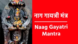 Naag Gayatri Mantra
