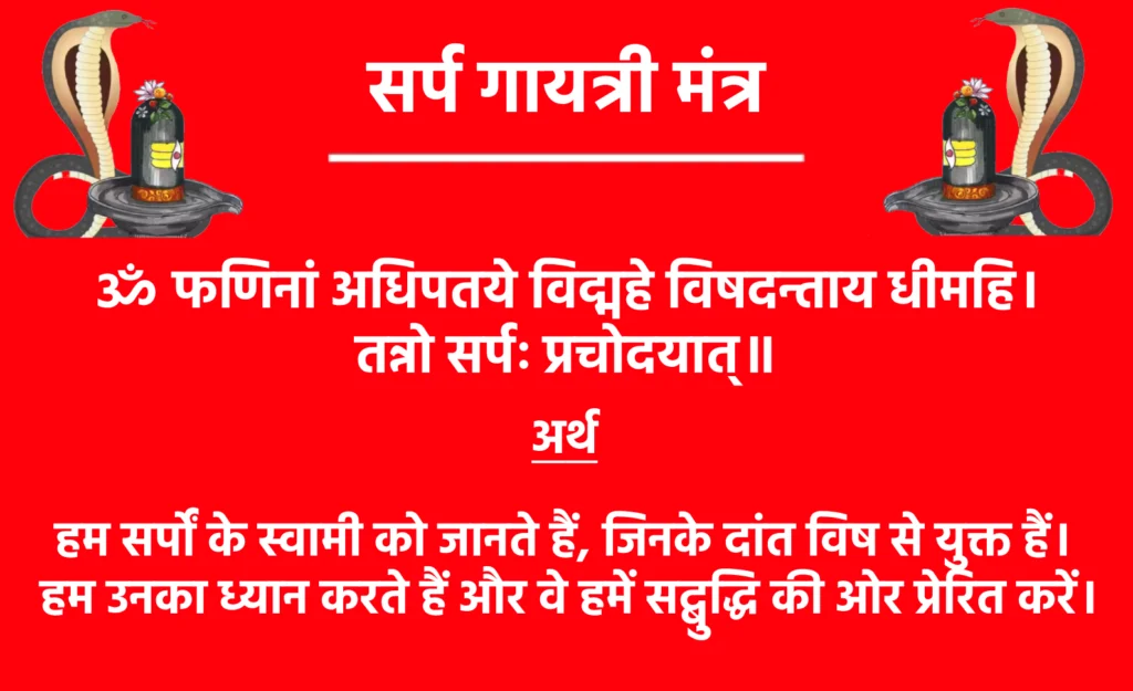 Sarpa Gayatri Mantra

ॐ फणिनां अधिपतये विद्महे विषदन्ताय धीमहि।
तन्नो सर्पः प्रचोदयात्॥

सर्प गायत्री मंत्र का अर्थ:  हम सर्पों के स्वामी को जानते हैं, जिनके दांत विष से युक्त हैं। हम उनका ध्यान करते हैं और वे हमें सद्बुद्धि की ओर प्रेरित करें। यह मंत्र विशेष रूप से उन लोगों के लिए उपयोगी है जिन्हें नाग से जुड़ी बाधाओं या स्वप्न दोष जैसी समस्याएं हैं।