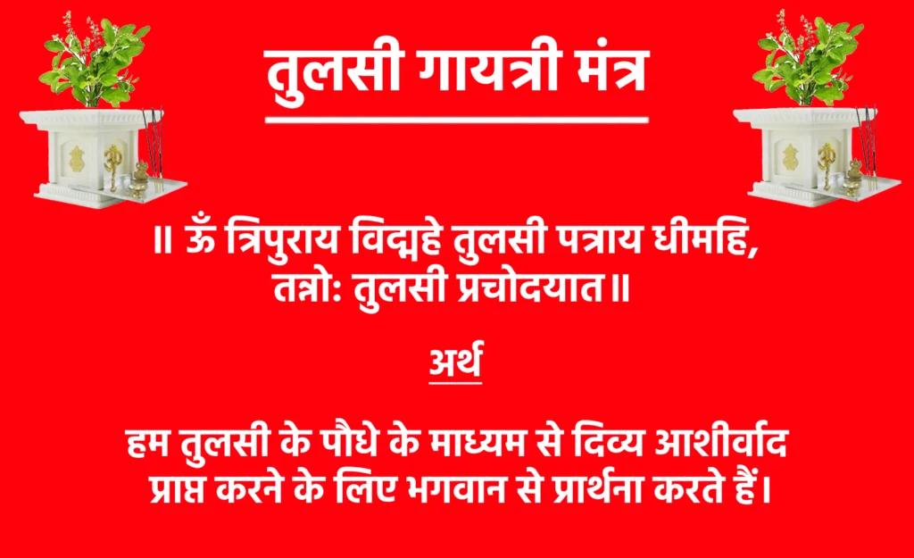 Tulsi Gayatri Mantra Lyrics

॥ ऊँ त्रिपुराय विद्महे तुलसी पत्राय धीमहि, तन्नो: तुलसी प्रचोदयात॥

Tulsi Gayatri Mantra Meaning: इस मंत्र का अर्थ है कि हम तुलसी के पौधे के माध्यम से दिव्य आशीर्वाद प्राप्त करने के लिए भगवान से प्रार्थना करते हैं। यह मंत्र व्यक्ति की मानसिक स्थिति को संतुलित करने में मदद करता है और जीवन को शांतिपूर्ण बनाता है।