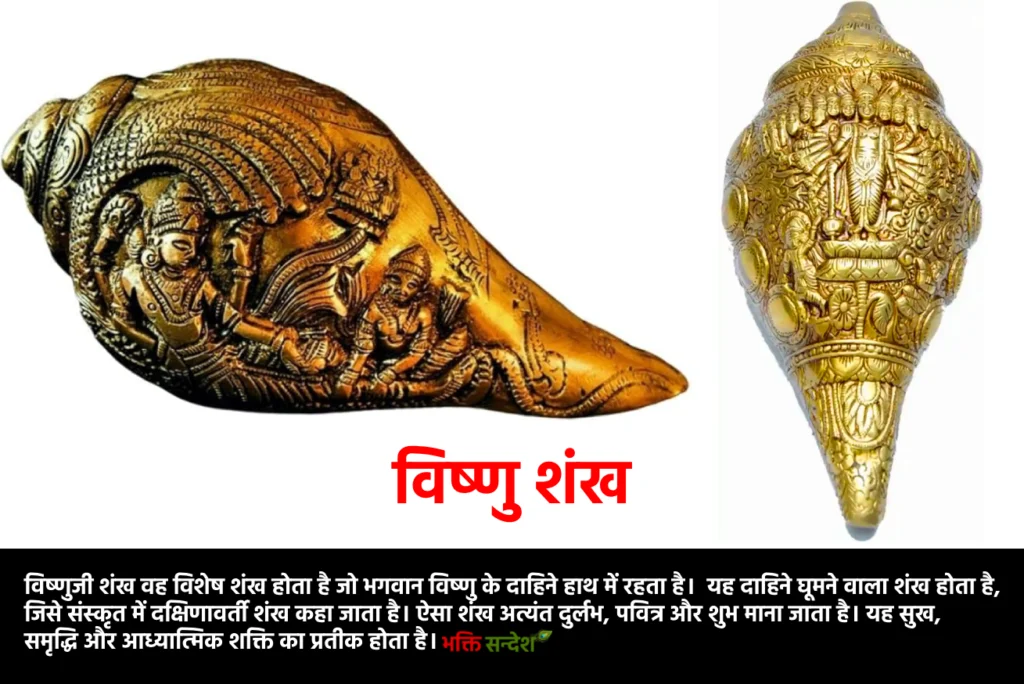 विष्णुजी शंख वह विशेष शंख होता है जो भगवान विष्णु के दाहिने हाथ में रहता है। यह दाहिने घूमने वाला शंख होता है, जिसे संस्कृत में दक्षिणावर्ती शंख कहा जाता है। ऐसा शंख अत्यंत दुर्लभ, पवित्र और शुभ माना जाता है। यह सुख, समृद्धि और आध्यात्मिक शक्ति का प्रतीक होता है।