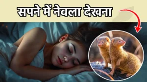 sapne me nevla dekhna