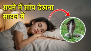 sapne me saap dekhna sawan me