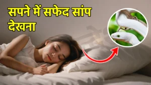 sapne me safed saap dekhna