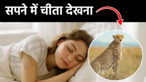sapne me chita dekhna
