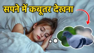 sapne me kabutar dekhna