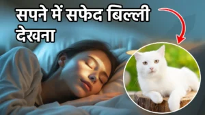 sapne me safed billi dekhna